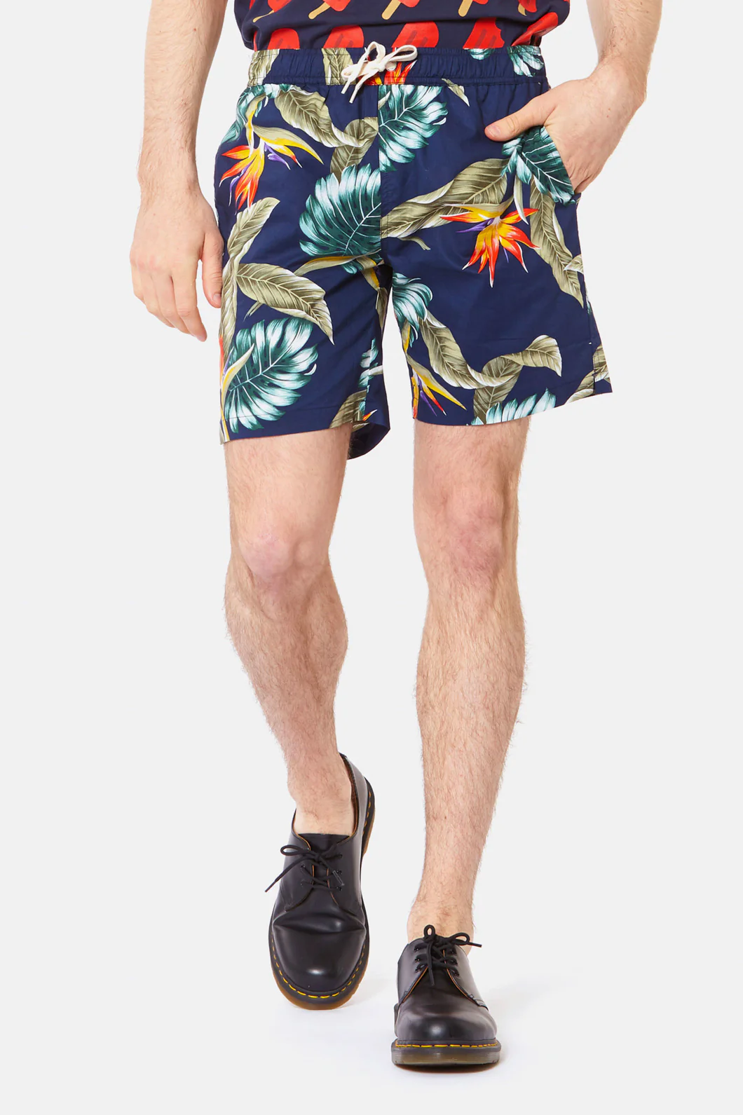 Bird Of Paradise Trunk