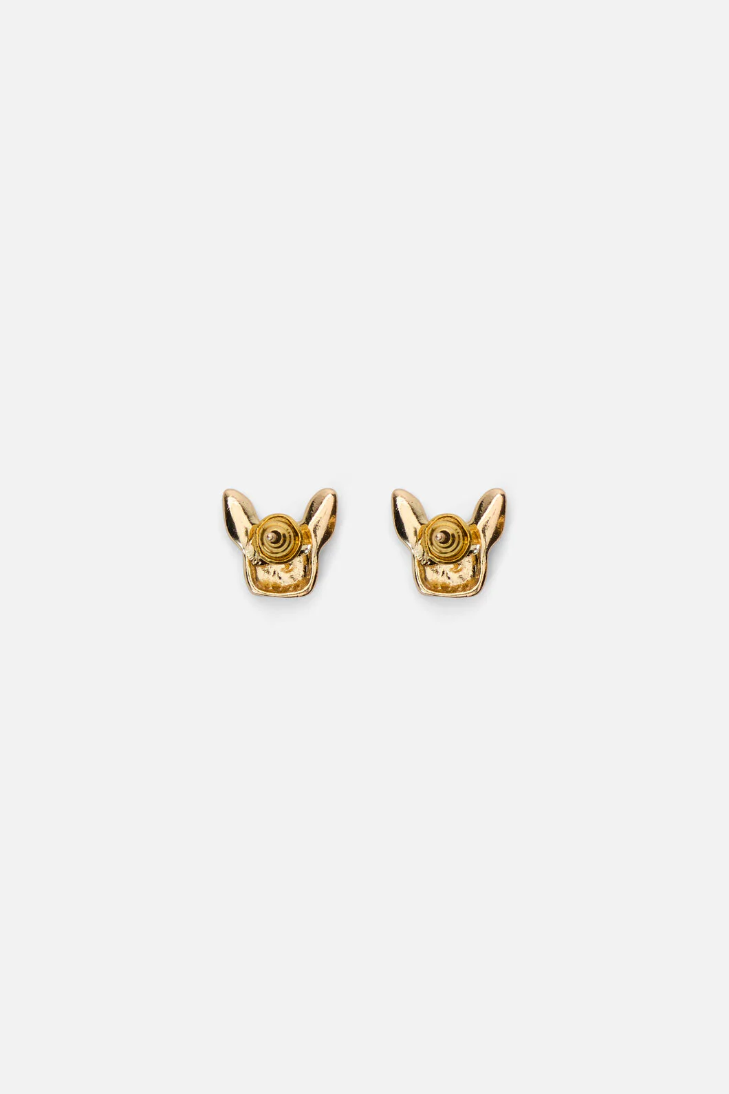 Boston Terrier Studs - Image 2