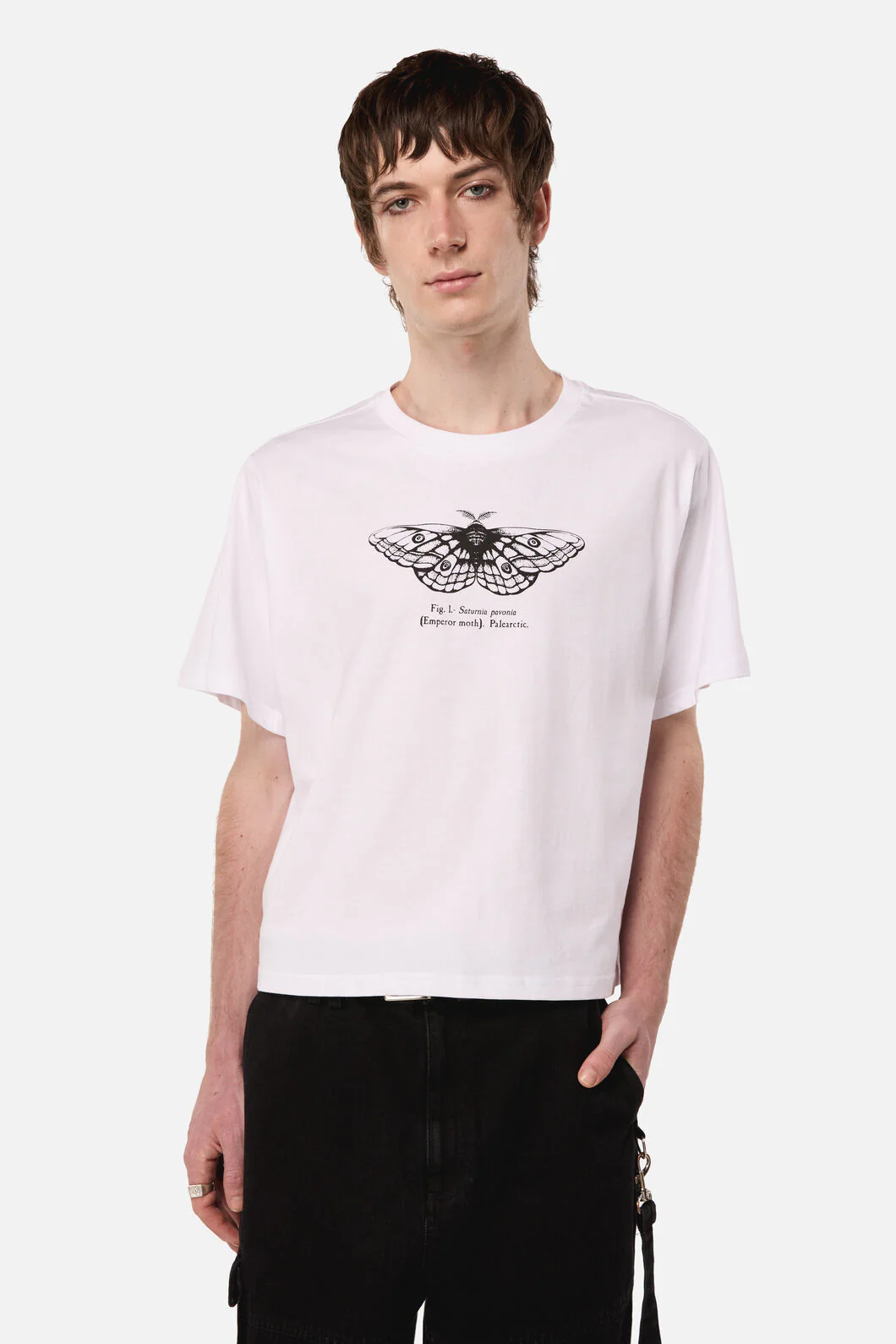 Butterfly Scientific Tee