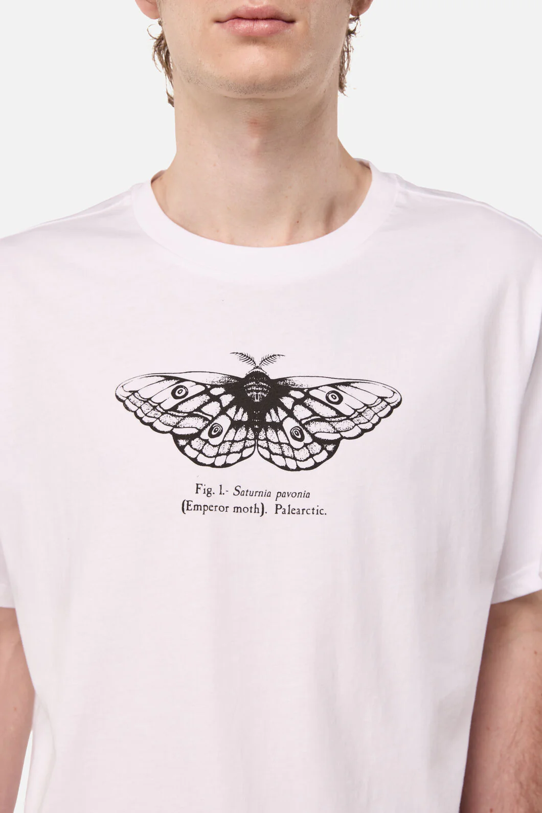 Butterfly Scientific Tee - Image 6