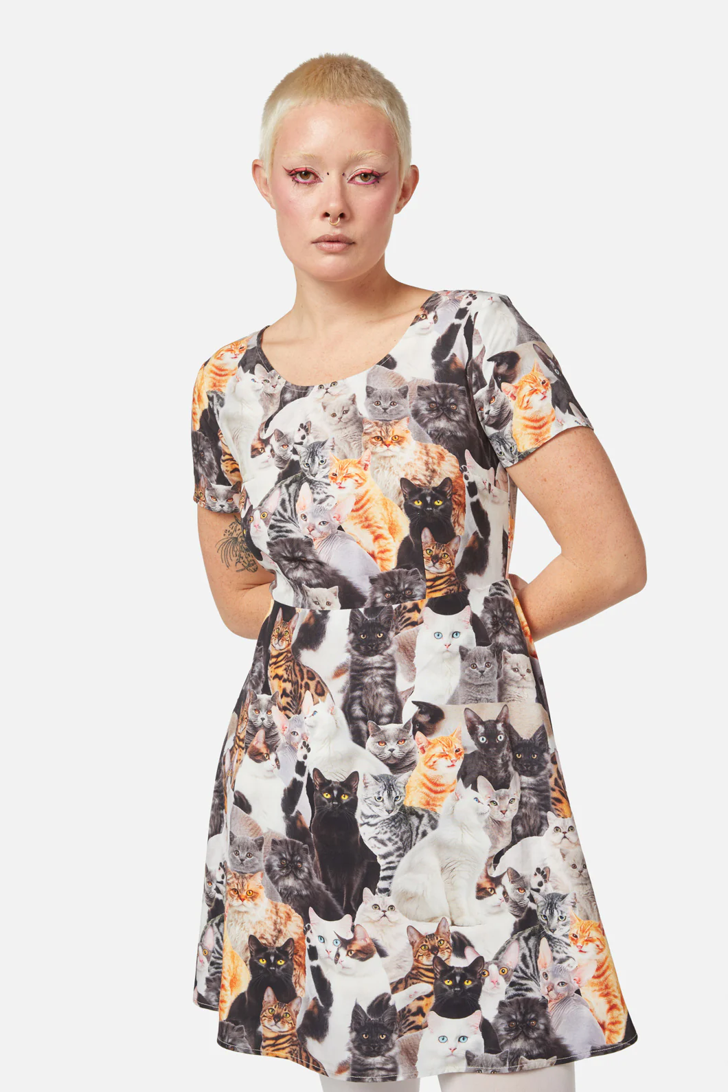 Catnip Skater Dress