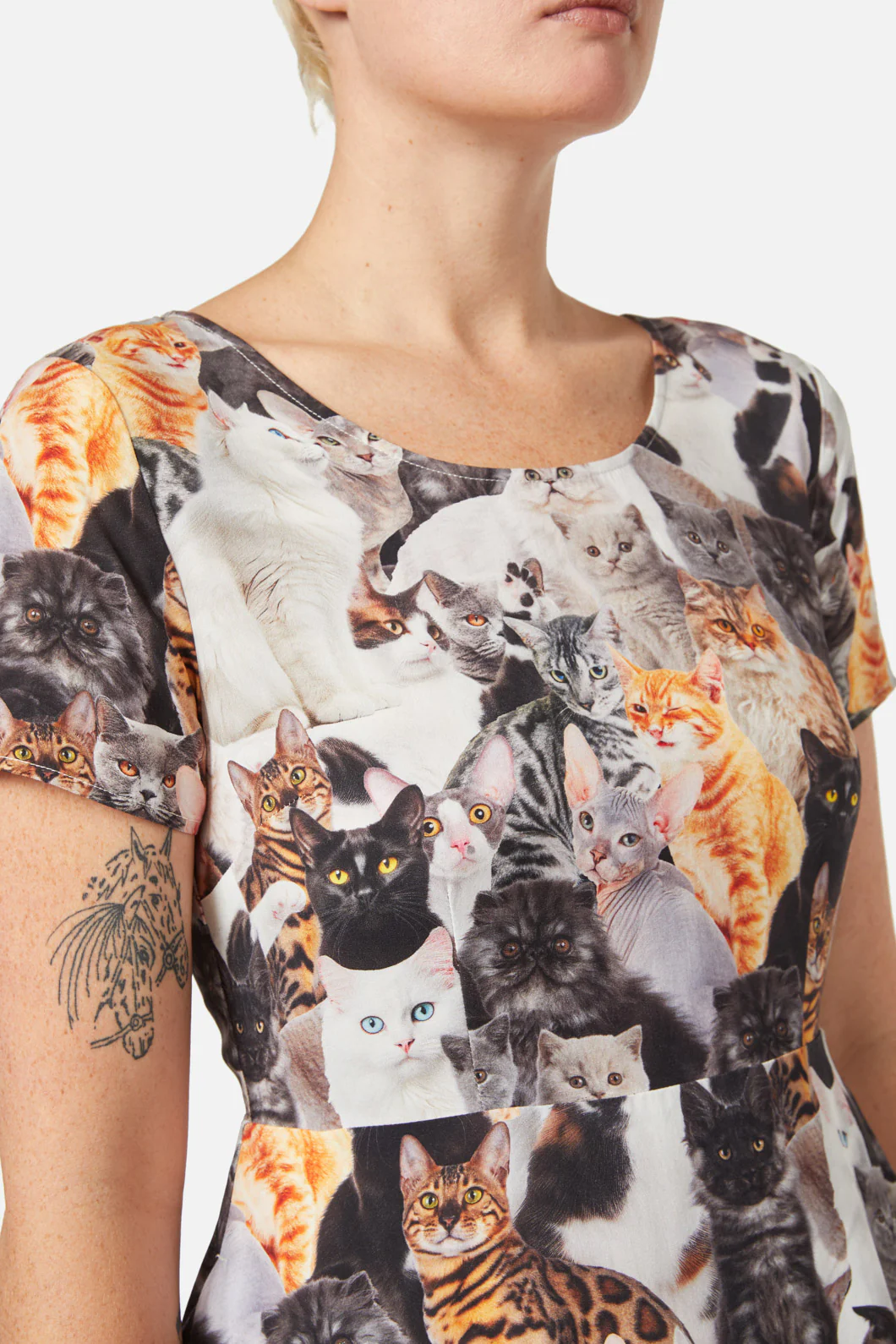 Catnip Skater Dress - Image 7
