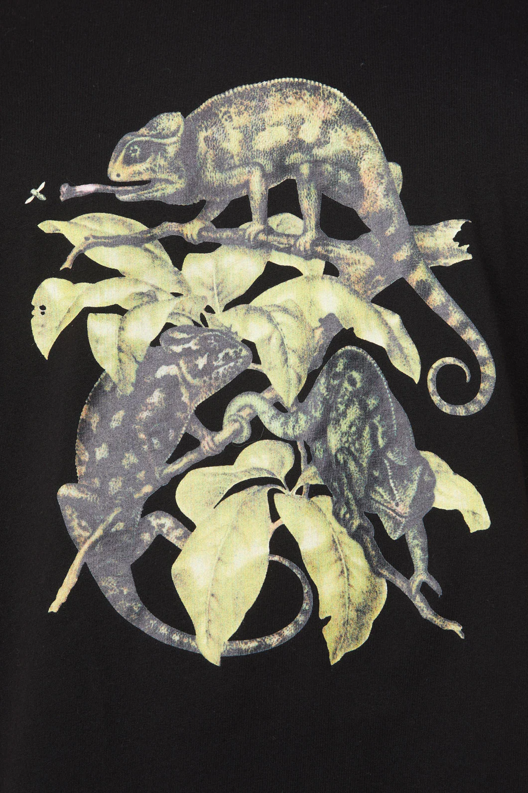 Chameleon Cotton Boxy Tee - Image 5
