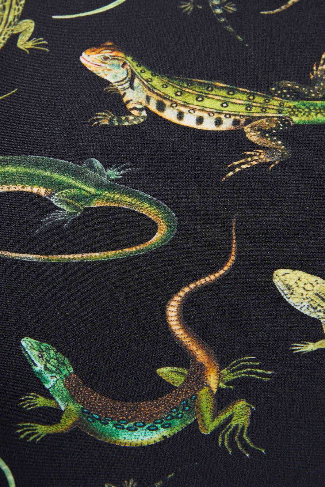 Lizard Fam Bikini Bottom - Image 5