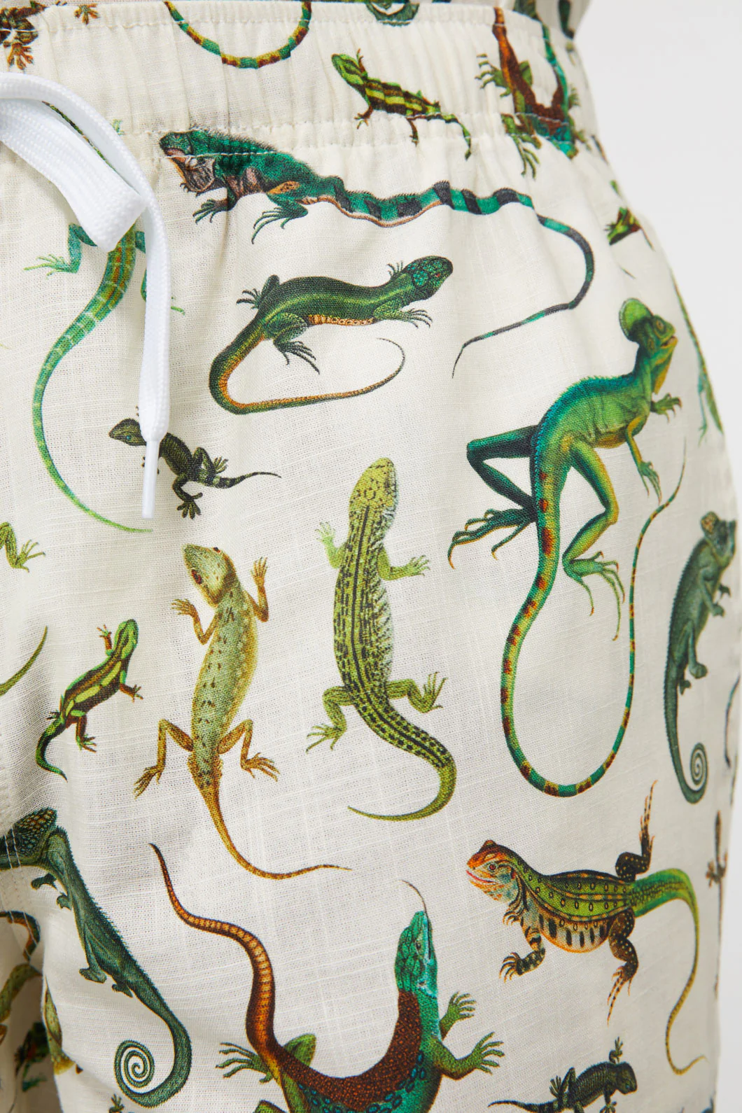 Lizard Fam Printed Trunk - Image 10