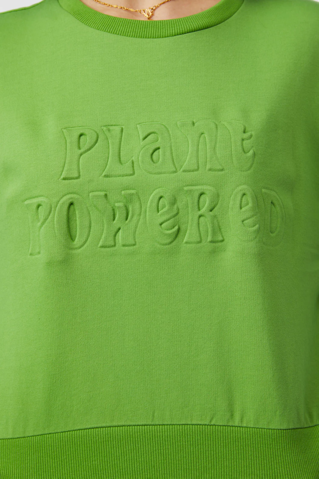 Plant Embossed Sweater - Image 10