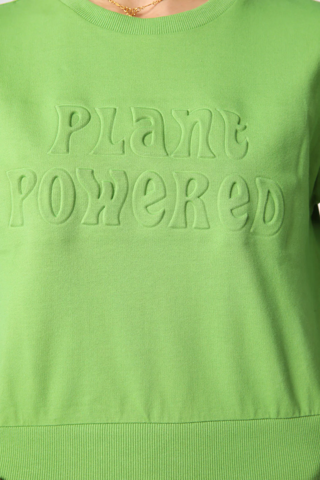 Plant Embossed Sweater - Image 5