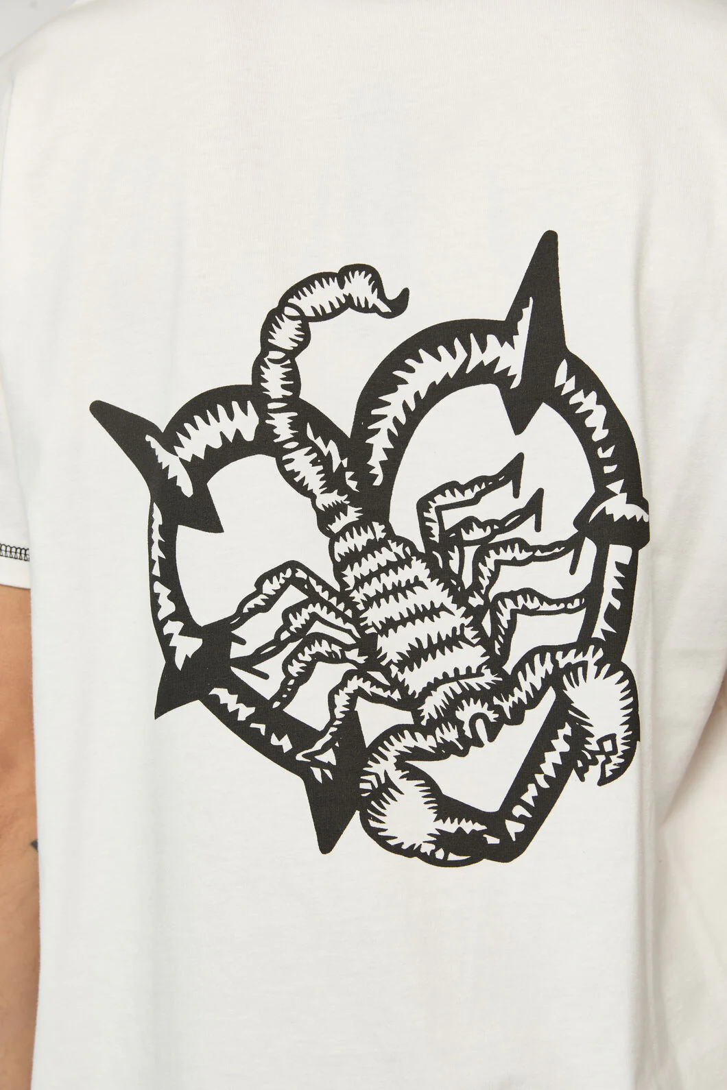 Scorpion Tall Tee - Image 5