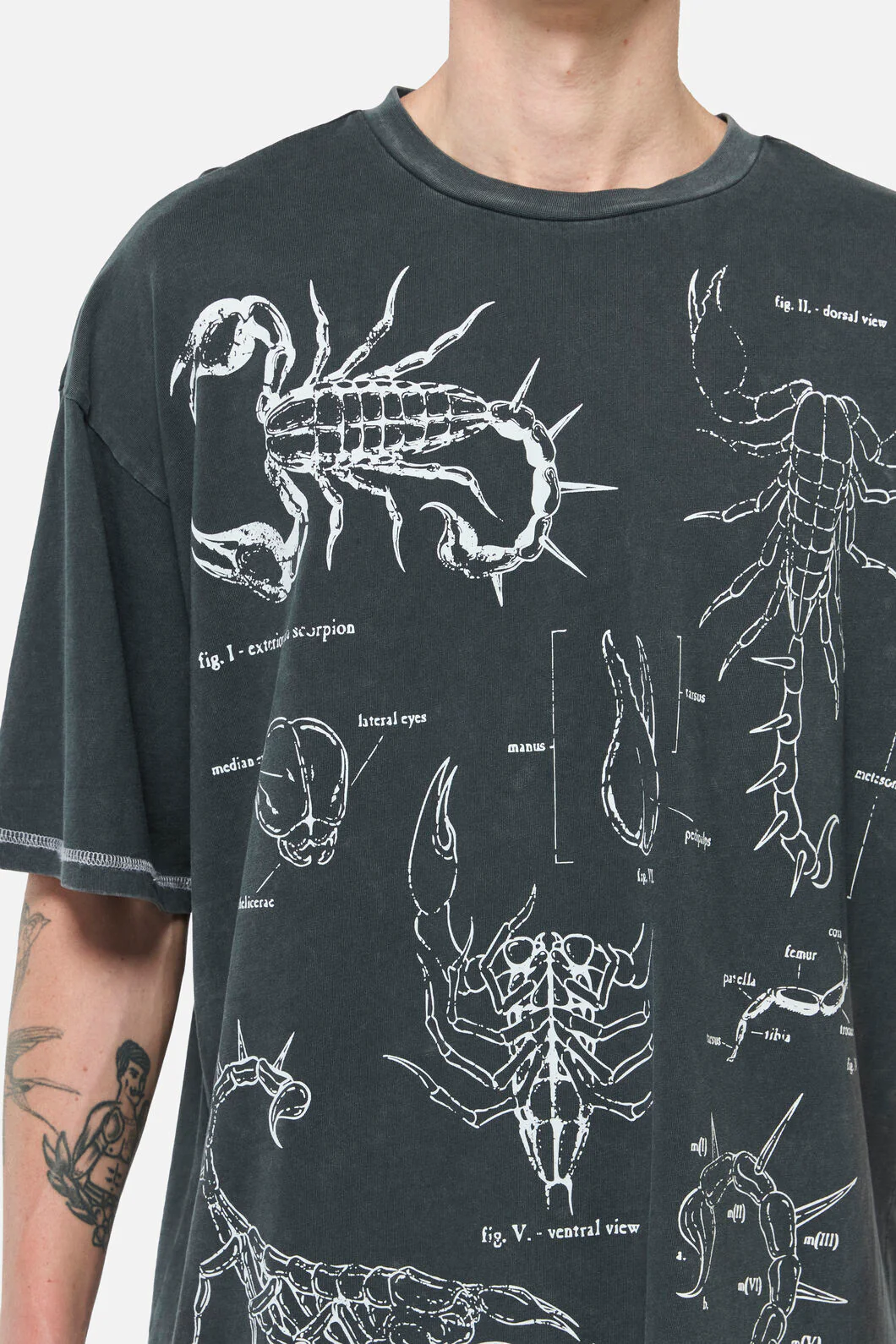 Scorpius Goth Unisex Tee - Image 4