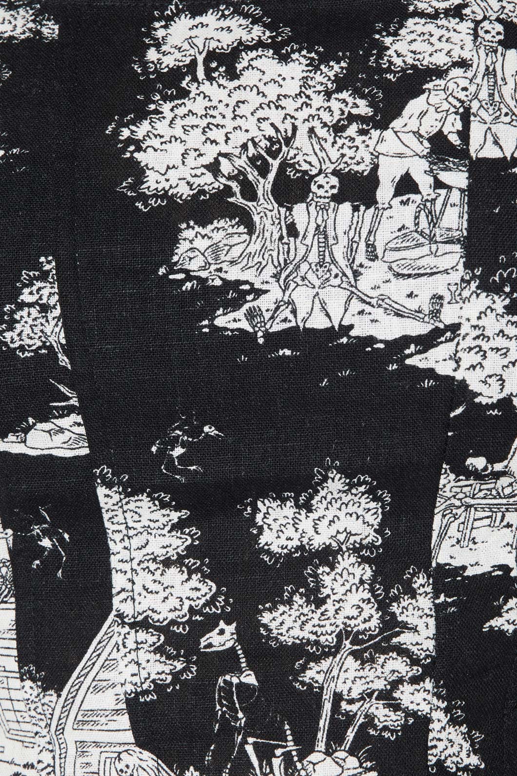 Skelly Toile Frill Midi Skirt - Image 11